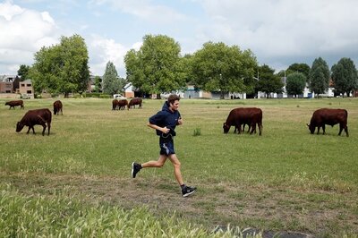 A 'Yoga with Cow' Session in UK Has Upset Hindu Clerics for 'Belittling' Core Concepts of Hinduism