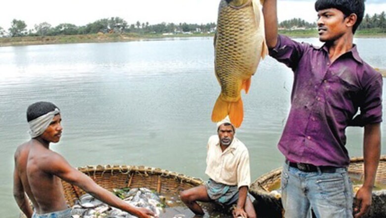 Bangalore: Lake policy needs rejuvenation