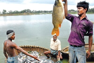 Bangalore: Lake policy needs rejuvenation