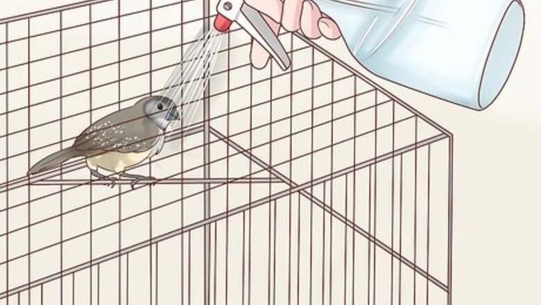 How to Keep Finches Groomed