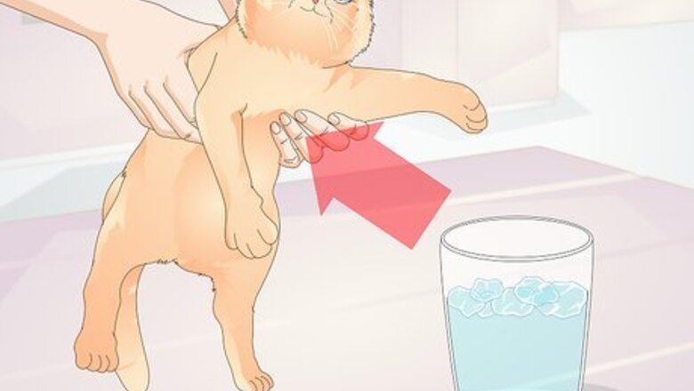How to Keep Cats from Drinking Out of Glasses