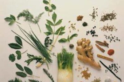 Chattisgarh to set up first Herbal Park