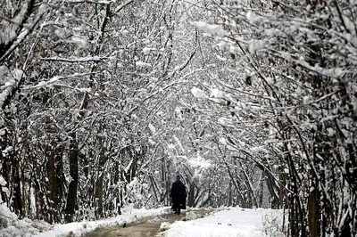 Kashmir Reels Under Arctic Conditions; Many Places Record Season's Coldest Night