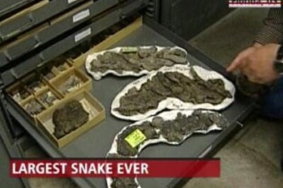 Fossil of largest snake discovered in Cerrejon