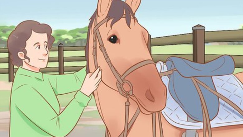How to Find out Why a Horse Is Crow Hopping