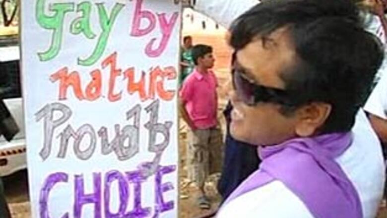 No hurry in changing anti-gay law: government