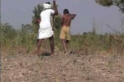 Two more farmers commit suicide