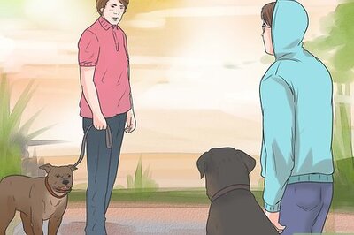 How to Stop a Dog Barking at Other Dogs