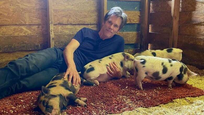 Kevin Bacon Posed With a Bunch of Pigs and Asked the Internet for Sizzling Captions