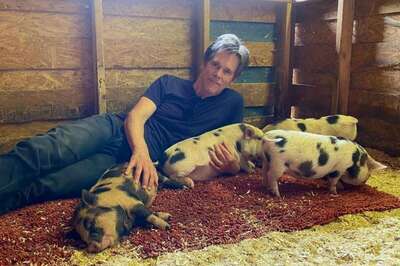 Kevin Bacon Posed With a Bunch of Pigs and Asked the Internet for Sizzling Captions