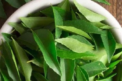 Find Out The Health Benefits of Curry Leaves
