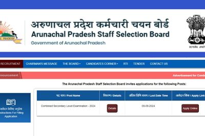 APSSB CSLE 2024: Application For 452 Grade C Posts Begins, Check Steps To Apply, Eligibility Criteria