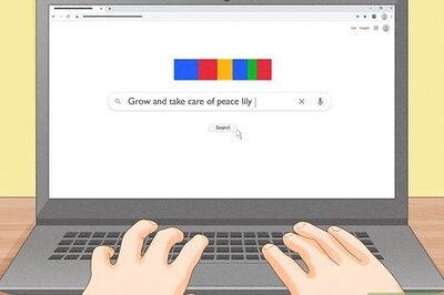 How to Grow Healthy Plants