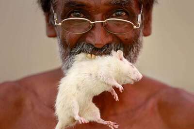 Stung Naked: Desperate Tamil Nadu Farmers and an Aloof Government