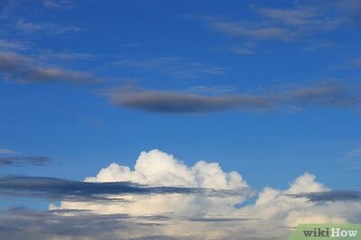 How to Strike a Lavender Cutting