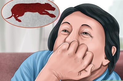 How to Cope With the Death of a Dog