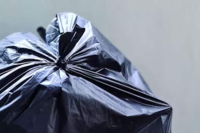 In Virginia's Arlington, Carcass Of Black Bear Found In Plastic Bag