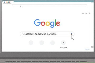 How to Grow Cannabis Outdoors