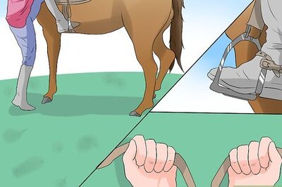 The Correct Way to Hold the Reins on a Horse