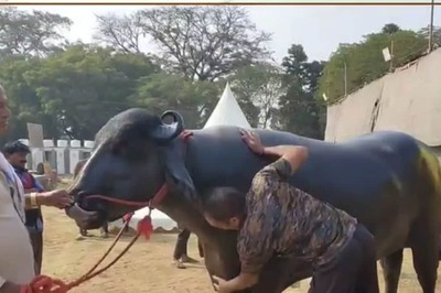 Ajooni Biotech Eyes Additional Rs 200 Crore Revenue from Commercial Production of Moringa by FY2025-26