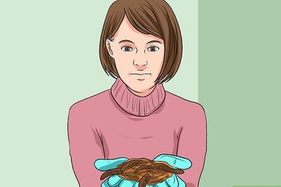 How to Keep Fishing Worms Alive for Fishing