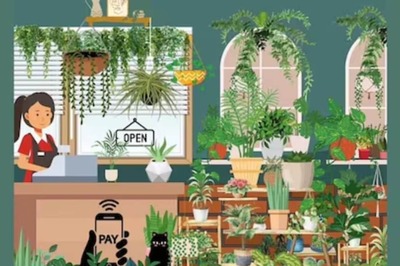 Find The Hidden Cactus In This Image; You Have 9 Seconds