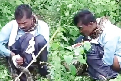 15-feet Python Grabs MP Villager by the Neck, Tries to Swallow Him Alive | Watch Viral Video