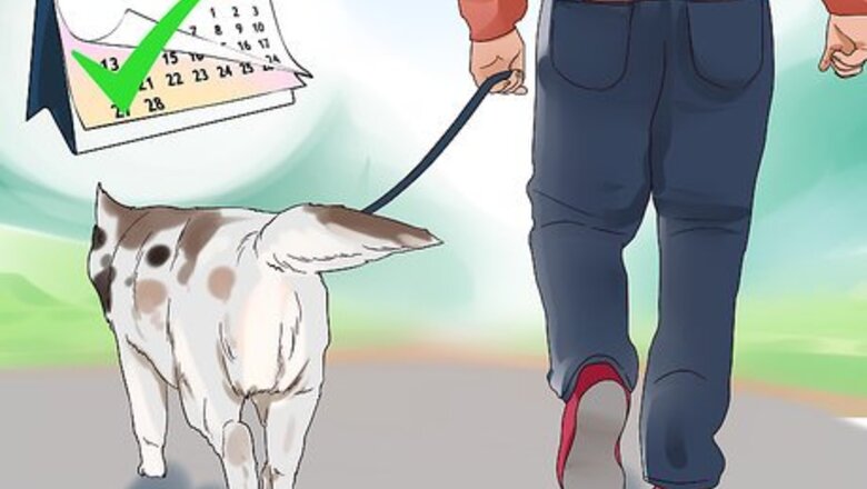How to Supervise a New Dog