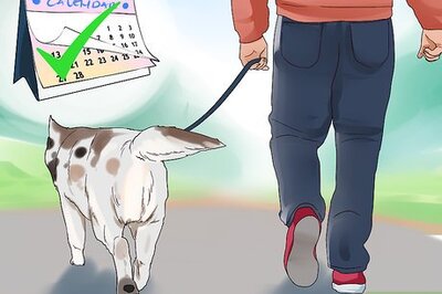 How to Supervise a New Dog