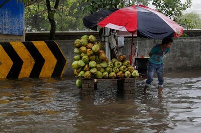 Coconuts Have Become Too Expensive to Break as Prices Swell on Great Demand