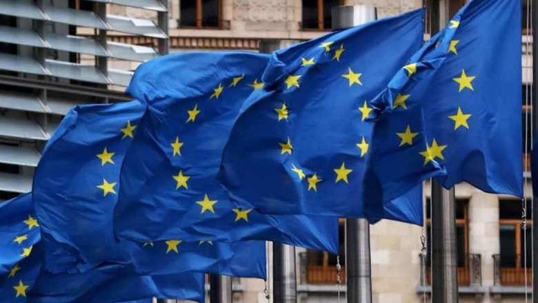 Some 'Ballast' in India-EU Ties Will Be Missing Without Pacts on Free Trade: MEA Official