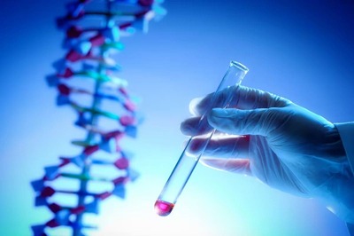 Reeling in Seafood Lovers: In A first in India, CMFRI to Develop Lab-grown Fish Meat