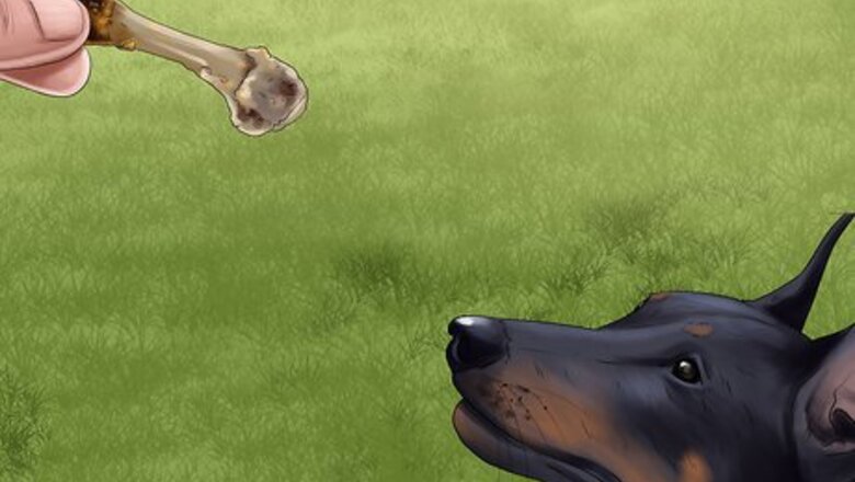 How to Train a Manchester Terrier