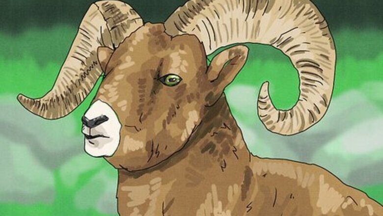 How to Make a Shofar