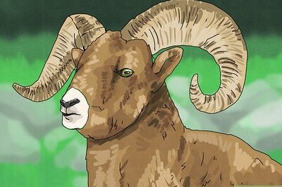 How to Make a Shofar