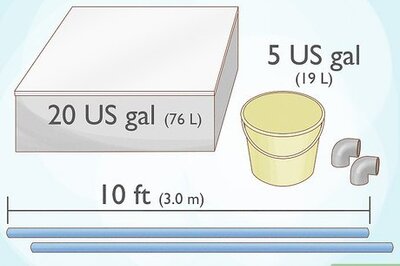 How to Grow Black Soldier Flies