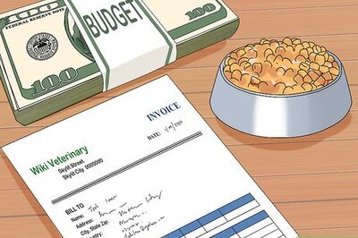 How to Buy a German Shepherd Puppy