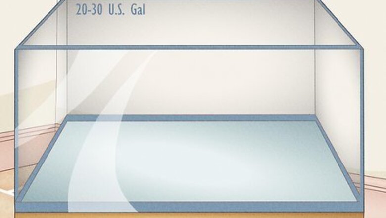 How to Take Care of Goldfish