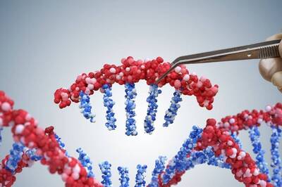 UK Gives Historic Nod to Gene Editing Tool for Blood Disorders, High Costs & Long Wait May Limit Indians' Access