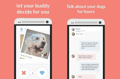 Tinder-style dating app for dogs helps you find the perfect match for your pet pooch