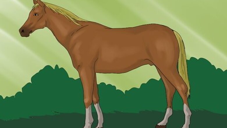 How to Sell a Thoroughbred Horse