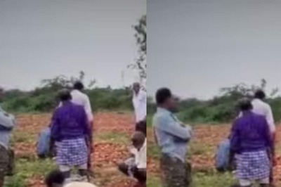 In This Andhra Pradesh Town, Hunters Dig For Diamonds In Monsoon