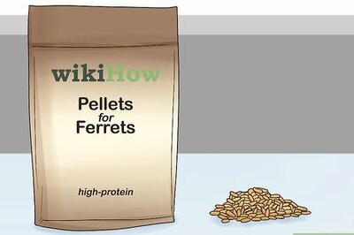 How to Feed a Ferret