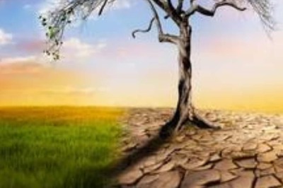 A Recent Study Has Connected Climate Hazards To 58% Of Infectious Diseases