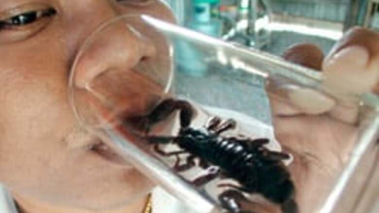 Scorpion on plane, pantful of pain