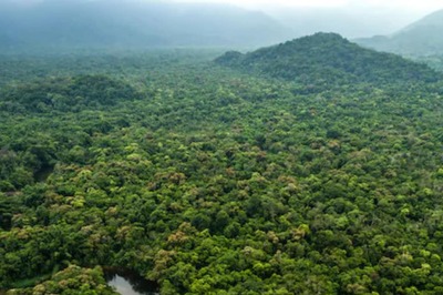 Bolivian Man, Rescued From Amazon Forest After 31 Days, Survived On Worms And Urine