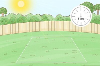 How to Prevent Hyacinth Flowers from Flopping