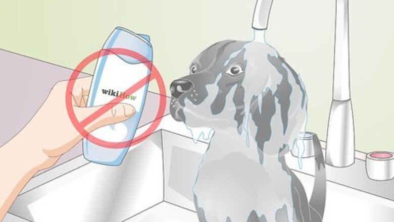 How to Soothe Dry Skin and Coats in Older Dogs