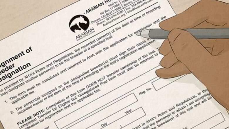 How to Name a Horse
