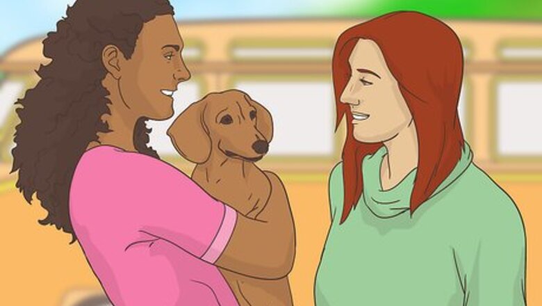 How to Handle Holiday Travel with Your Pet